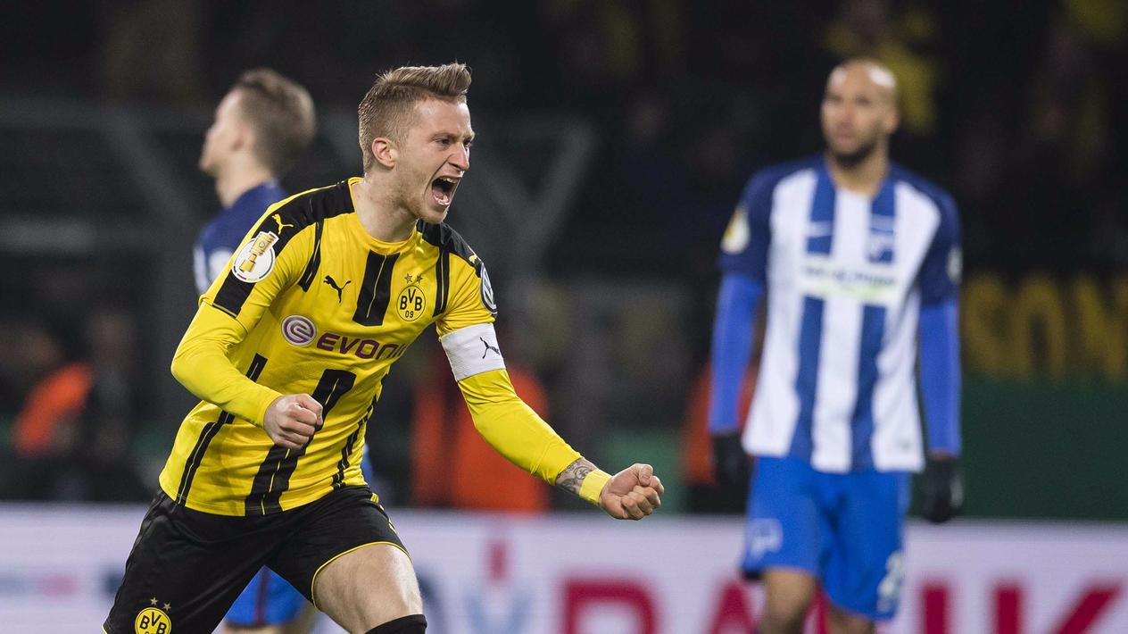 包含纽卡斯尔训练开放日，窗口期单刀错失引欢呼，德国杯在即，训练强度明显提升的词条